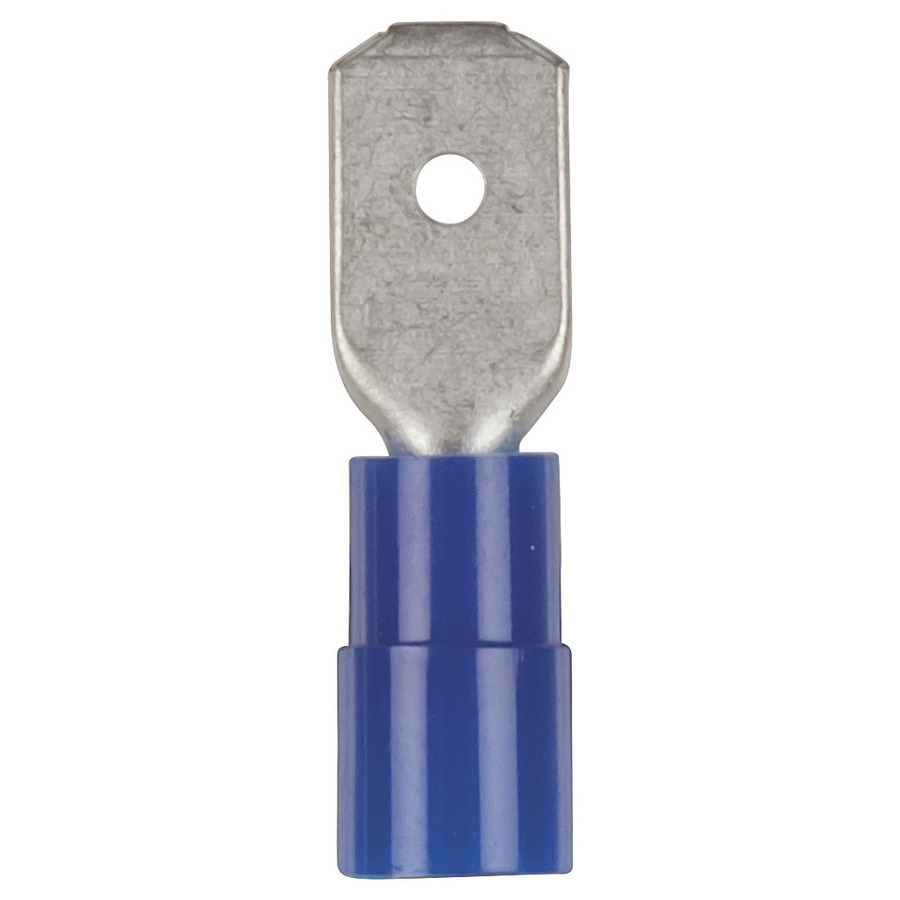 Male Spade - Blue - Pk.8