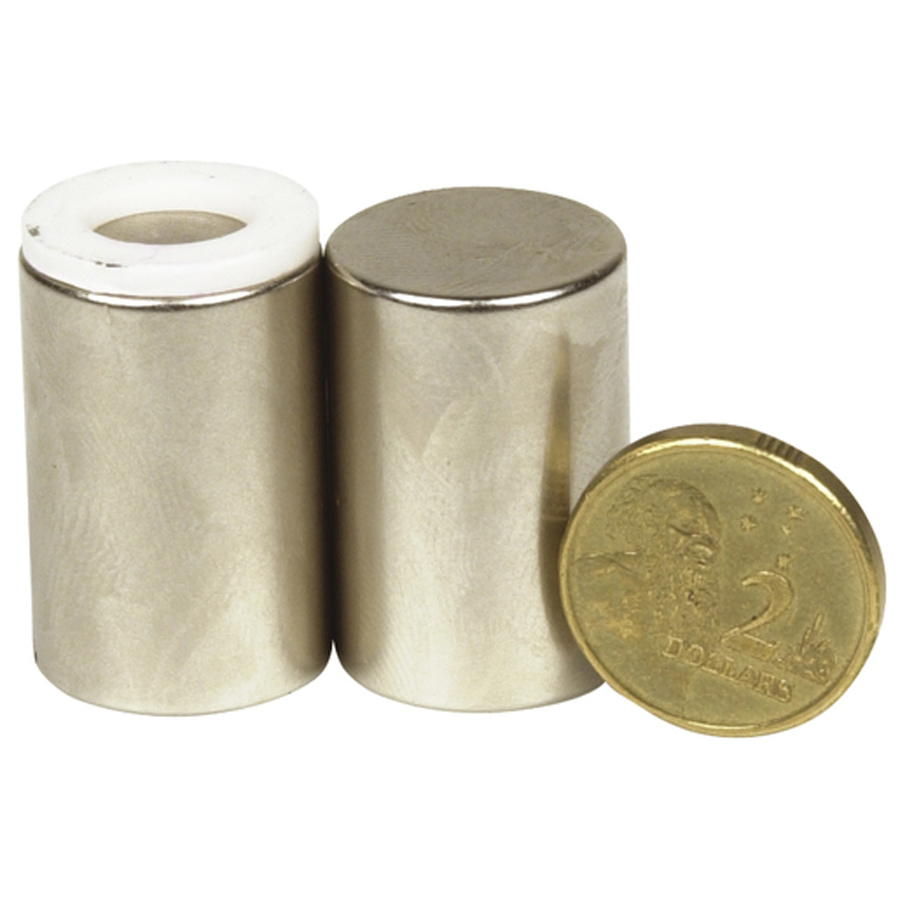 Large Rare Earth Magnets - Pair 