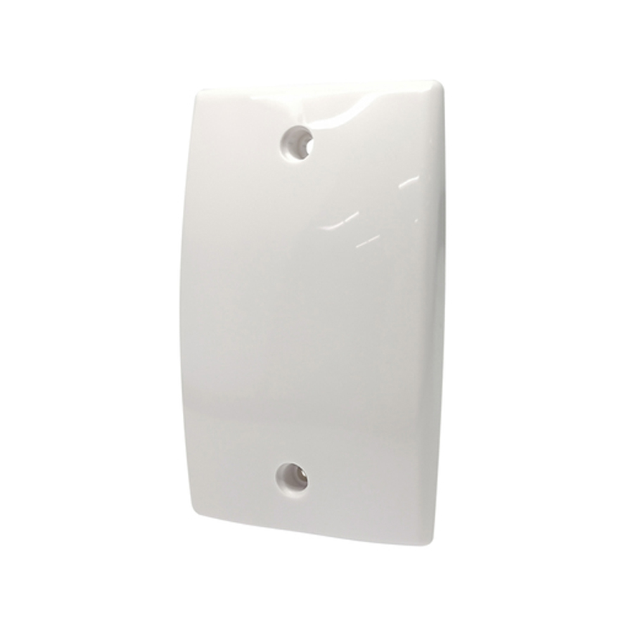Large Blank Wall plate 