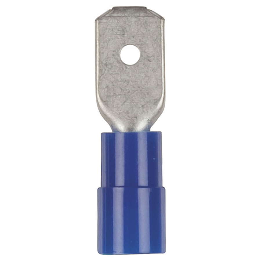 Male Spade - Blue - Pk.8 