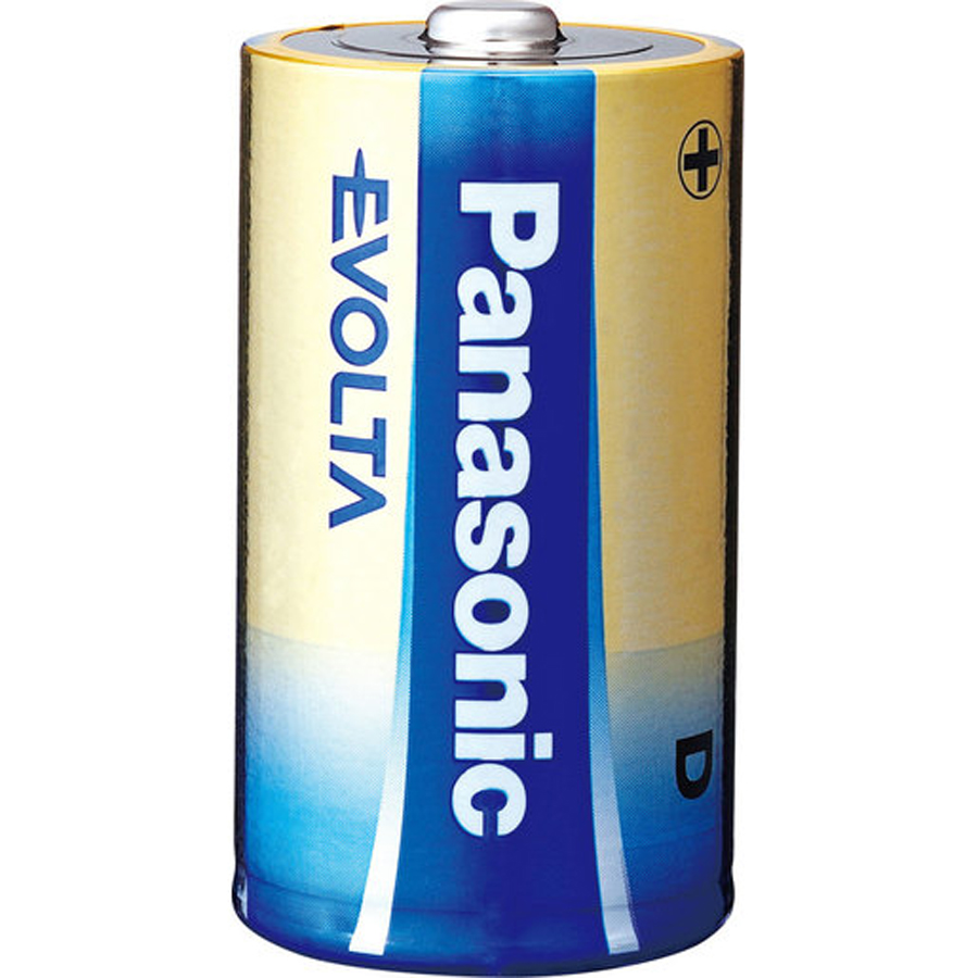 Panasonic Evolta D Batteries - 2 Pack 