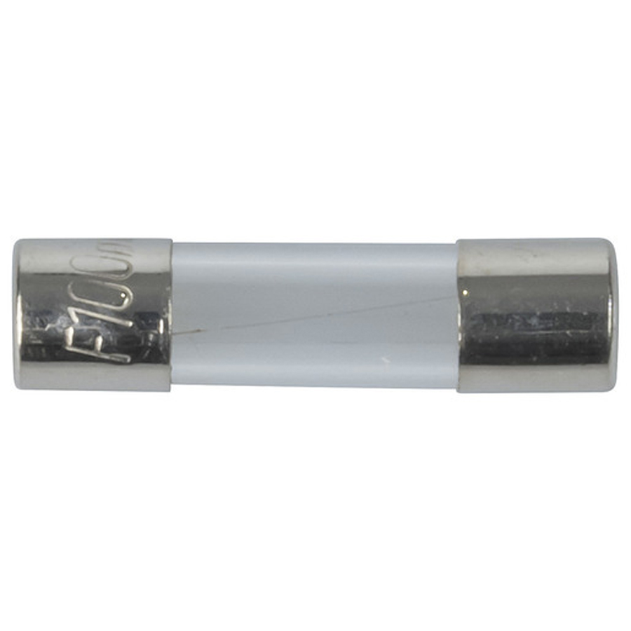 100mA M205 Quick Blow Fuse 