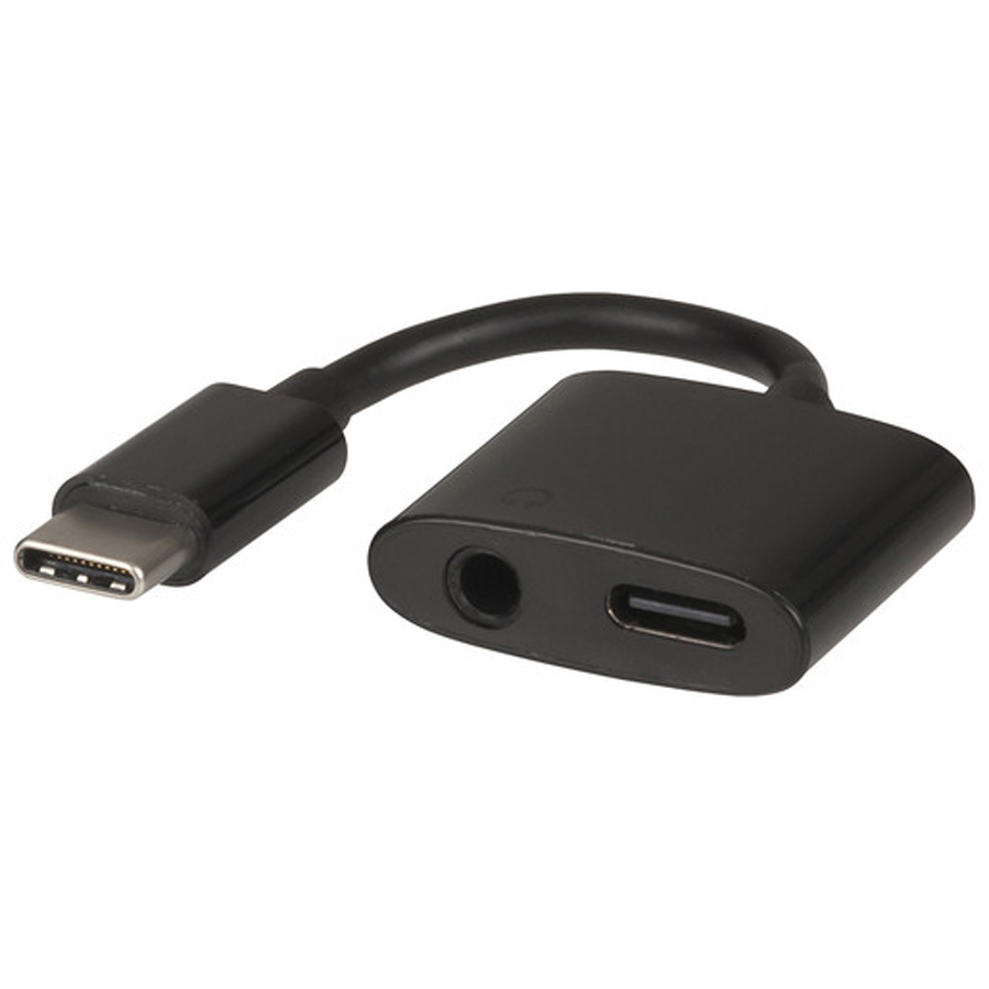 2-In-1 USB Type-C and 3.5mm Audio Adaptor 